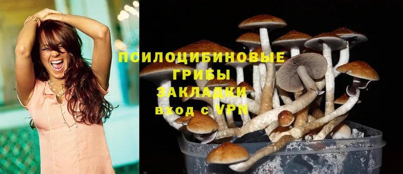 Галлюциногенные грибы Magic Shrooms  Корсаков 